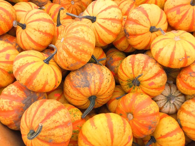 Full frame shot of pumpkins at market