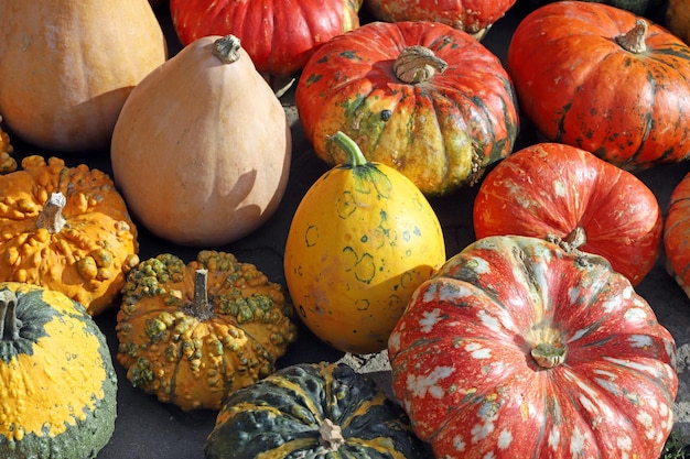 Photo full frame shot of pumpkins in market