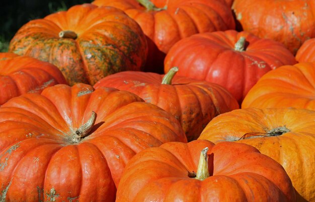 Full frame shot of pumpkins at market