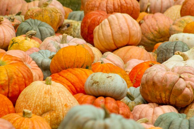 Photo full frame shot of pumpkins in market