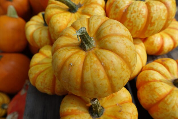 Full frame shot of pumpkins in market