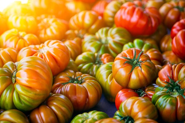 Full frame shot of pumpkins at market