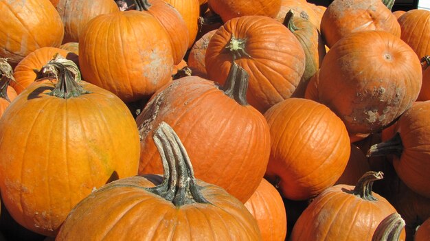 Full frame shot of pumpkins for sale at market stall