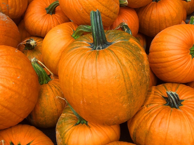 Photo full frame shot of pumpkins for sale at market stall