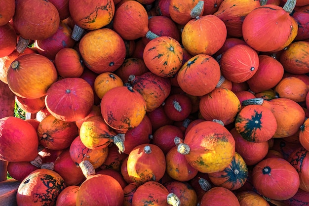 Photo full frame shot of pumpkins for sale at market