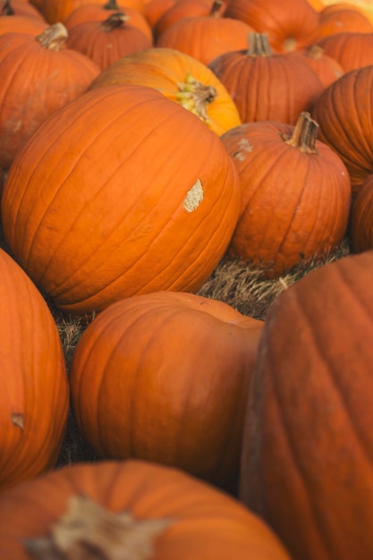 Full frame shot of pumpkins for sale