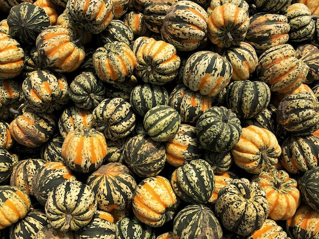 Full frame shot of pumpkins for sale