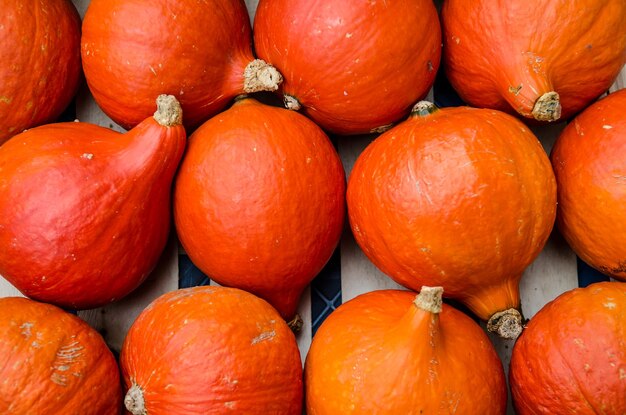 Full frame shot of pumpkins