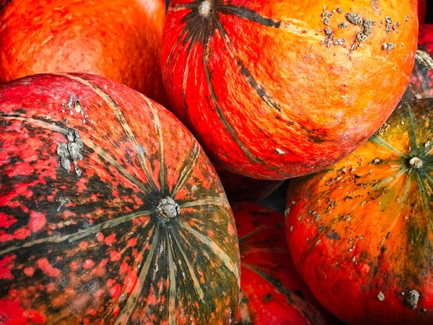 Full frame shot of pumpkins