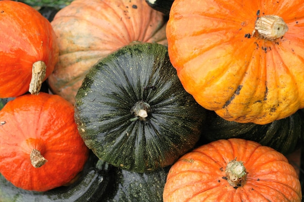 Photo full frame shot of pumpkins