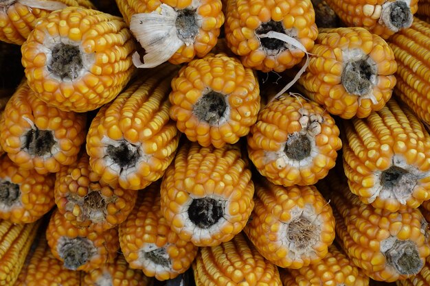 Full frame shot of pumpkins