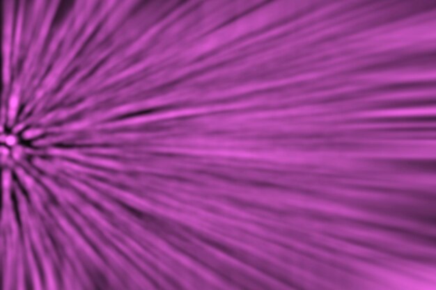 Full frame shot of purple flower