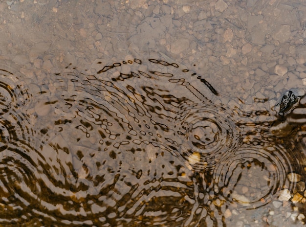 Full frame shot of raindrops falling in lake