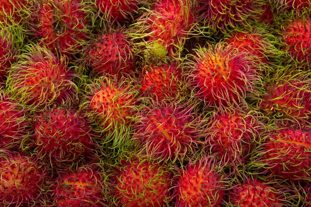 Foto scatto completo del rambutan