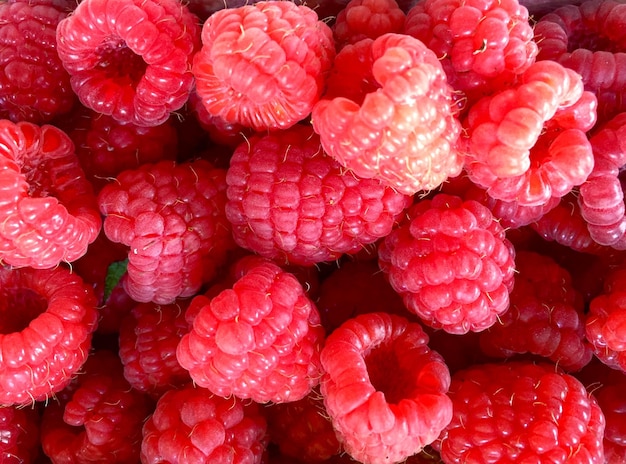 Full frame shot of raspberries