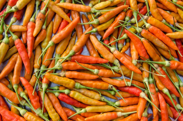 Photo full frame shot of red chili peppers