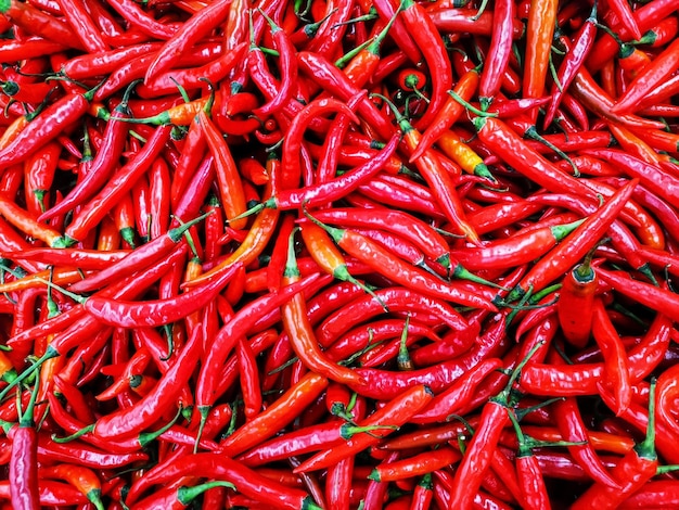 Photo full frame shot of red chili peppers