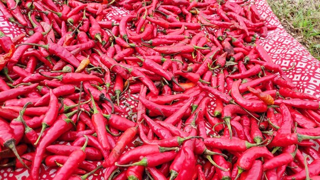 Full frame shot of red chili peppers