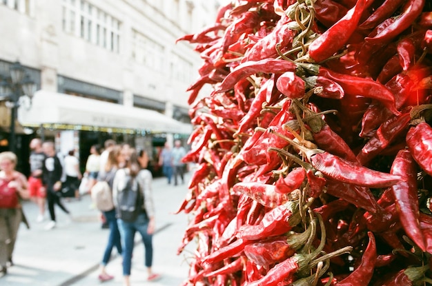 Foto fotografia completa di fiori rossi in vendita al mercato