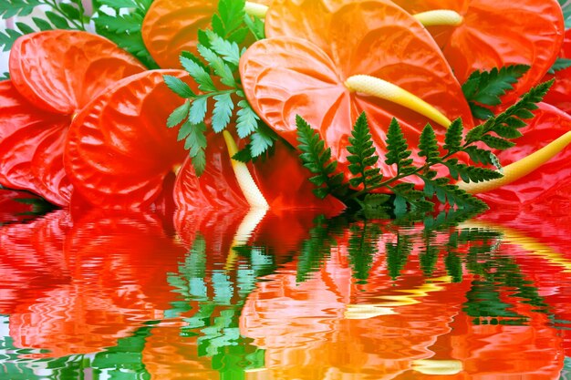 Full frame shot of red leaves