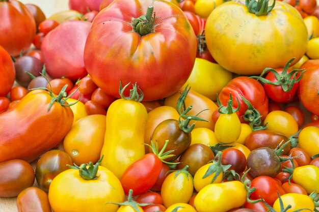 Full frame shot of red and yellow tomatos