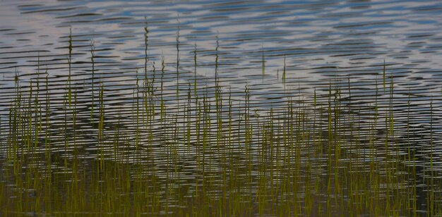 Photo full frame shot of rippled water in lake