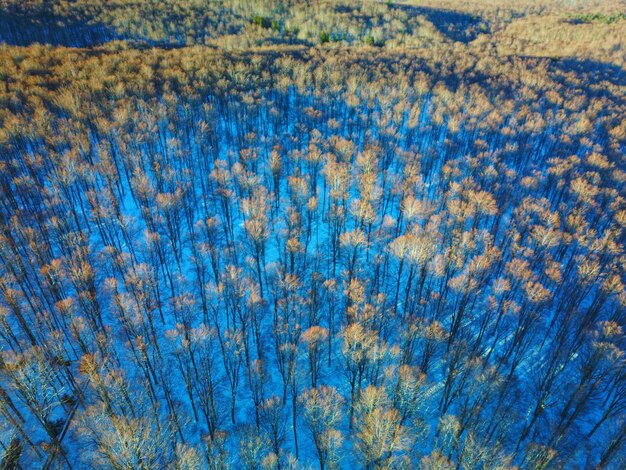 Full frame shot of rippled water