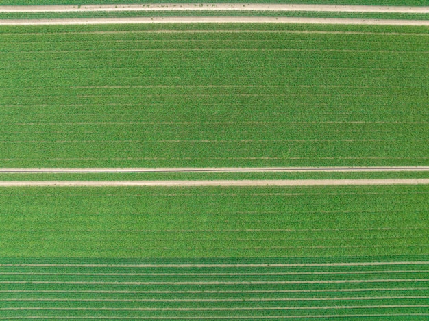 Foto fotografia completa della strada