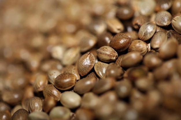 Photo full frame shot of roasted coffee beans