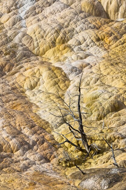 Photo full frame shot of rock formations