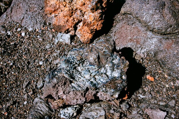 Photo full frame shot of rock on tree trunk