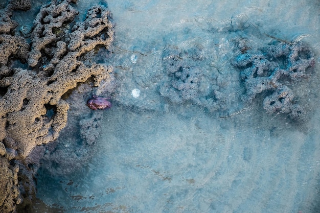 Photo full frame shot of rock in water