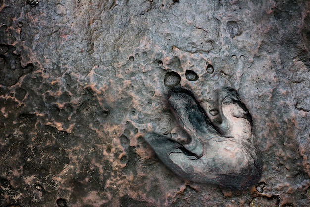 full frame shot of rock