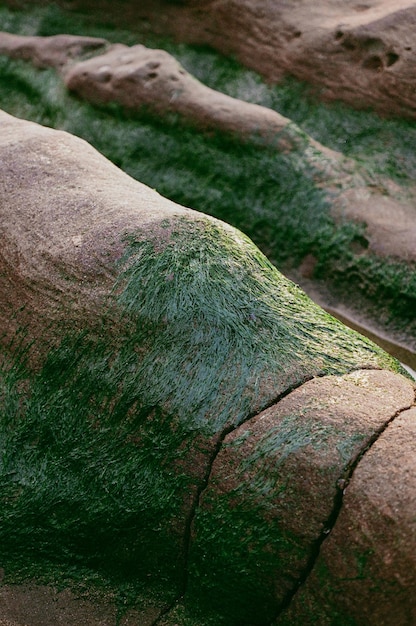 Full frame shot of rock