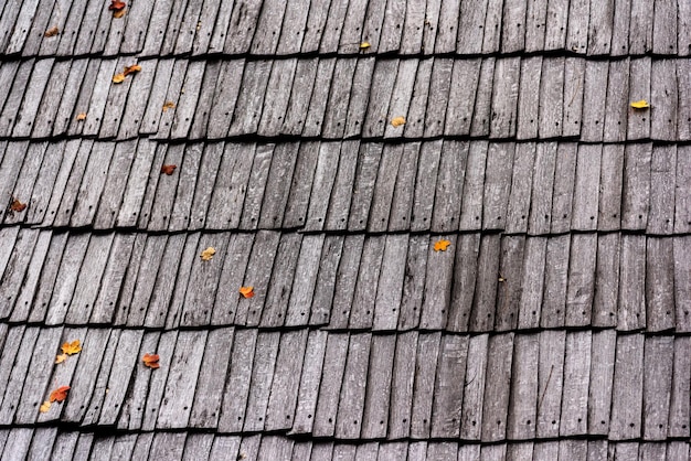 Full frame shot of roof