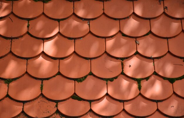 Full frame shot of roof