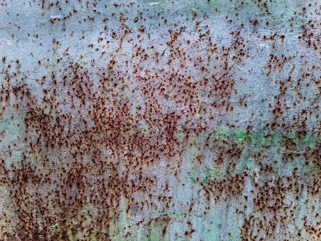 Full frame shot of rusty metal wall