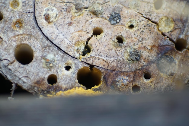 Photo full frame shot of rusty metal