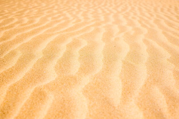 Foto fotografia completa della sabbia sulla spiaggia