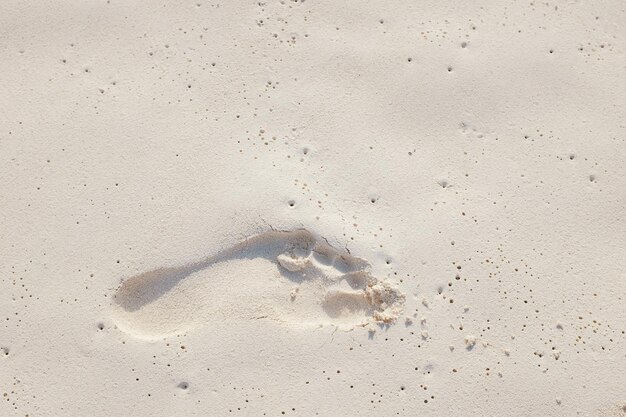 Foto fotografia completa della sabbia sulla spiaggia