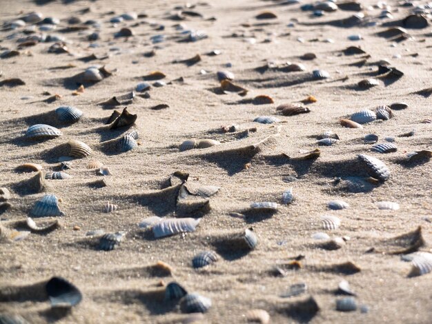 Photo full frame shot of sand on beach