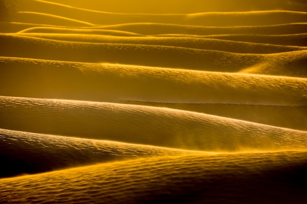 Photo full frame shot of sand dune