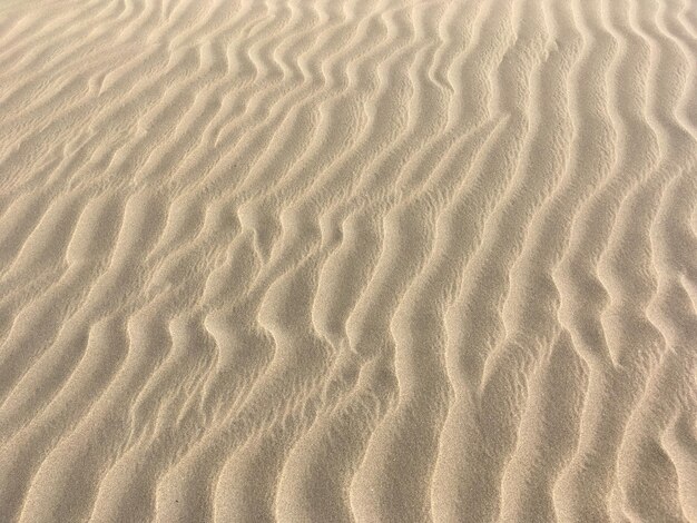 Full frame shot of sand dune