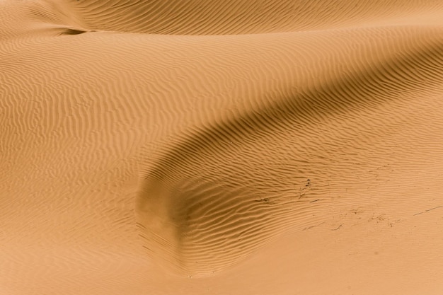 Foto immagine completa della duna di sabbia