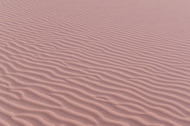 Full frame shot of sand dune