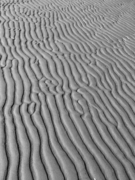 Photo full frame shot of sand dune
