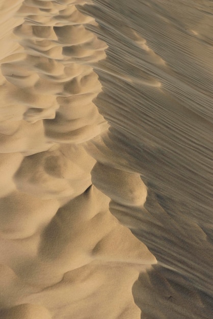 砂丘のフルフレームショット