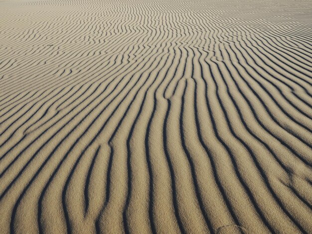 Photo full frame shot of sand dune