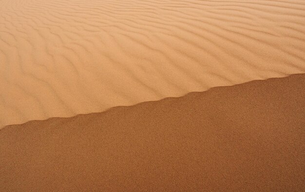 Photo full frame shot of sand dune