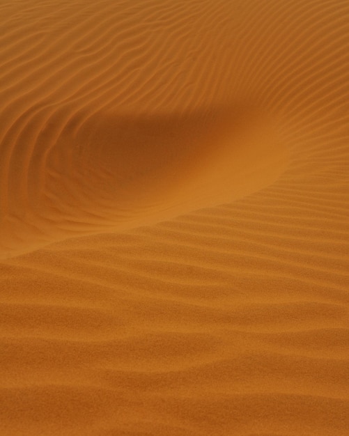 Photo full frame shot of sand dune